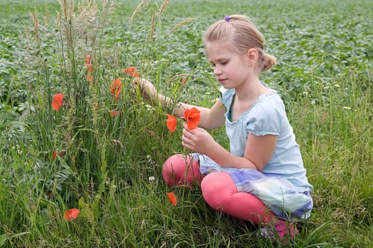 little girl on the meadow with flowers