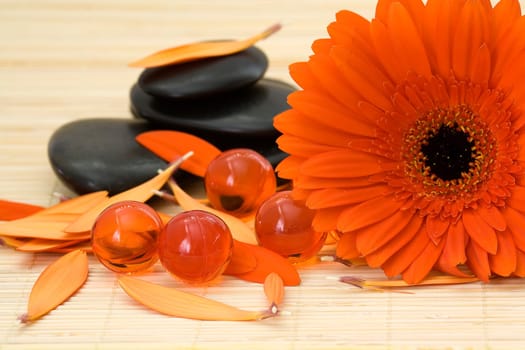 spa stones, oil bath pearls and red gerber