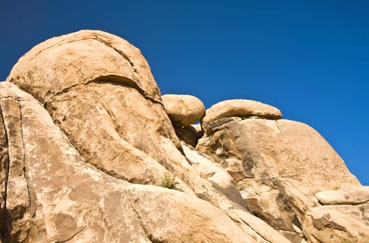 scenic rocks are looking like people in the afternoon light inthe National Park