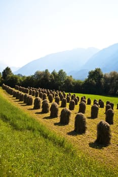 beautiful landscape in the tirolean Alps, fresh smelling grass is stapled for drying, looks like figures in the countryside