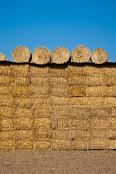 bale of straw in autumn in intensive colors