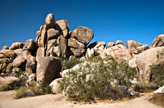 scenic rocks in the desert of the national park in afternoon light