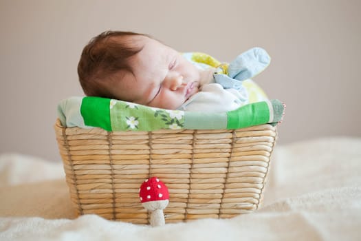 Portrait of a cute newborn baby girl sleeping in a basket