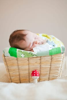 Portrait of a cute newborn baby girl sleeping in a basket
