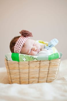Portrait of a cute newborn baby girl sleeping in a basket