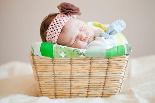 Portrait of a cute newborn baby girl sleeping in a basket