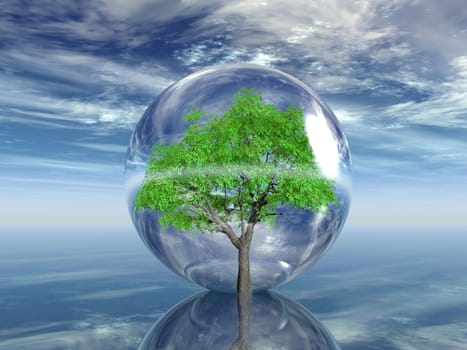 tree in a bubble