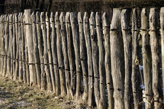 Wooden fence