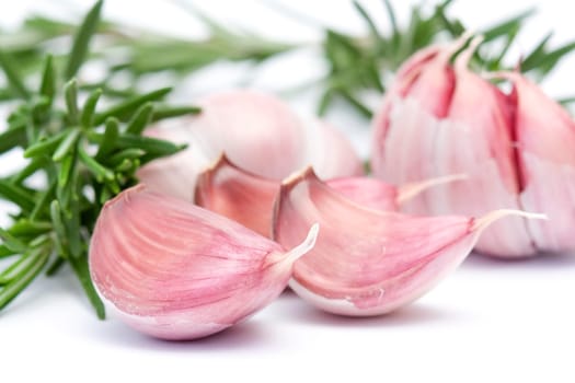 close up of garlic