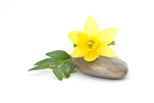 flower and stone