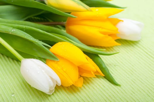 Yellow and White Tulips on Green Tablecloth