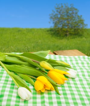 Yellow and White Tulips on Green Gingham Tablecloth Under Blue Sky