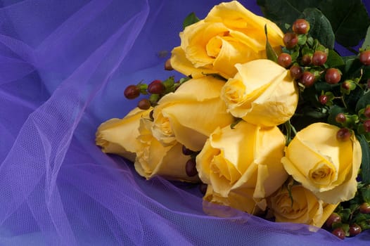 Composition of flowers on a white background