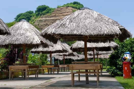 picnik tables and benches in a tropical park