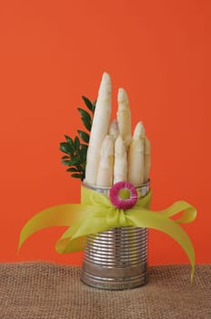 Canned asparagus