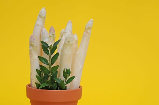 Asparagus