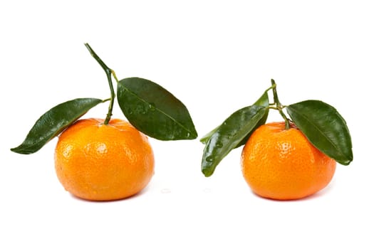 Tangerine with leaf,fruit isolated against white background