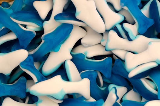 white and blue candies in the shape of shark