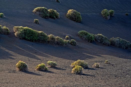 volcanic landscape in national park Timanfaya in Lanzarote, Spain