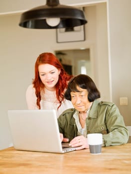 Young woman with her Grandmother by the computer