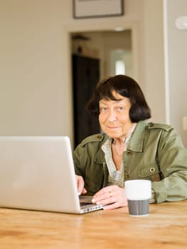 Senior woman by the computer