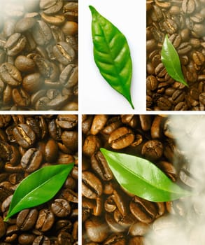Montage of closeup images of freshly roasted coffee beans with a green leaf detail