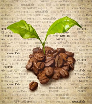 Coffee beans with fresh growing green leaves on a backround of aged paper with the word coffee repeated multiple times in different languages