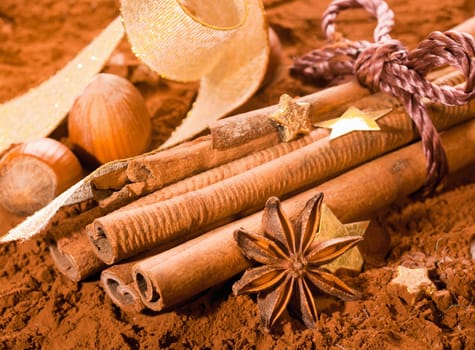 Bundle of Cinnamon with golden Stars, hazelnut and a bow on powdered cocoa