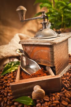 Coffee Grinder with beans and leaves of coffee on a brown background