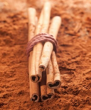 Long cinnamon on a brown cacao background
