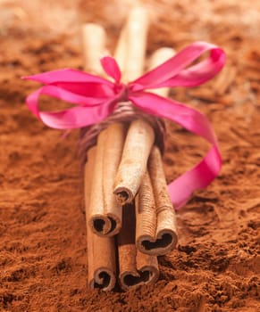 Long cinnamon with a pink ribbon on a brown cacao background