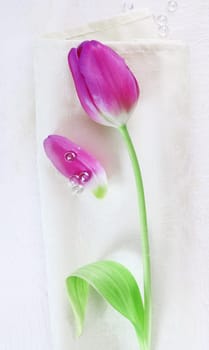 Tulip Flower on a napkin for spring decoration