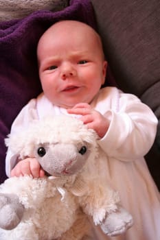 Counting sheep