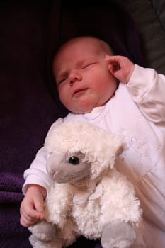 Counting sheep