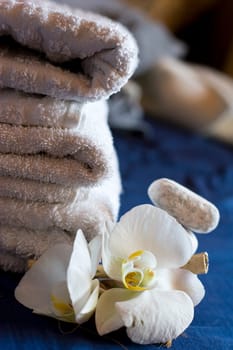 Towel Wellness