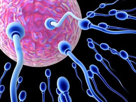 Sperm Cells on their way to the egg. High resolution 3D render.