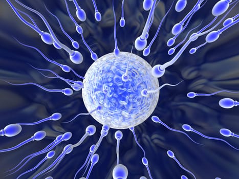 Sperm Cells on their way to the egg. High resolution 3D render.