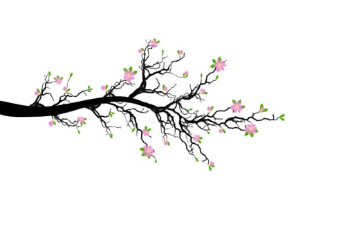Beautiful blossom tree