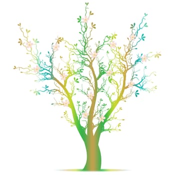 Beautiful blossom tree