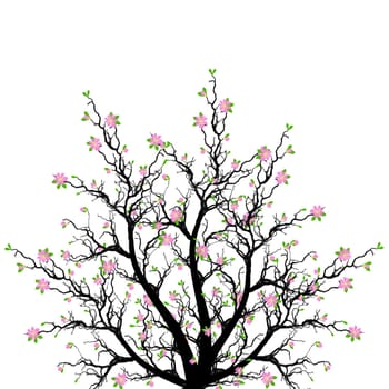 Beautiful blossom tree