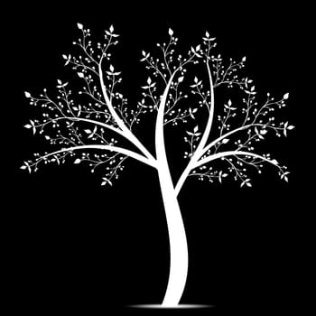 Olive tree isolated on white background