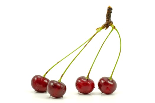 dark red cherries isolated on a white background