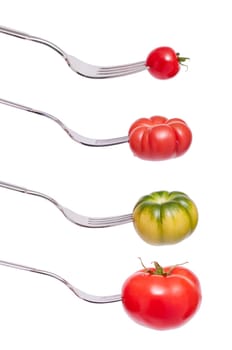 Four different varieties of tomatoes with fork