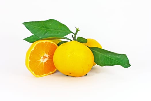 Ripe mandarins with leaves isolated on white