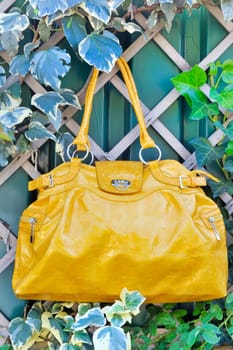 lady handbag
