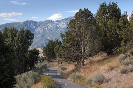 paved pedestrian trail for biking, hiking, walking and exercise