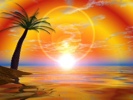 the beach