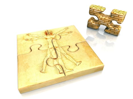 vitruvian puzzle