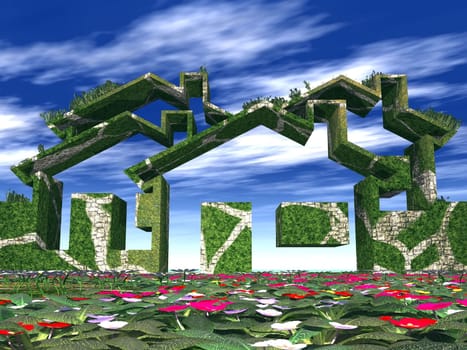 a very beautifull house