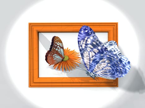 butterfly and frame